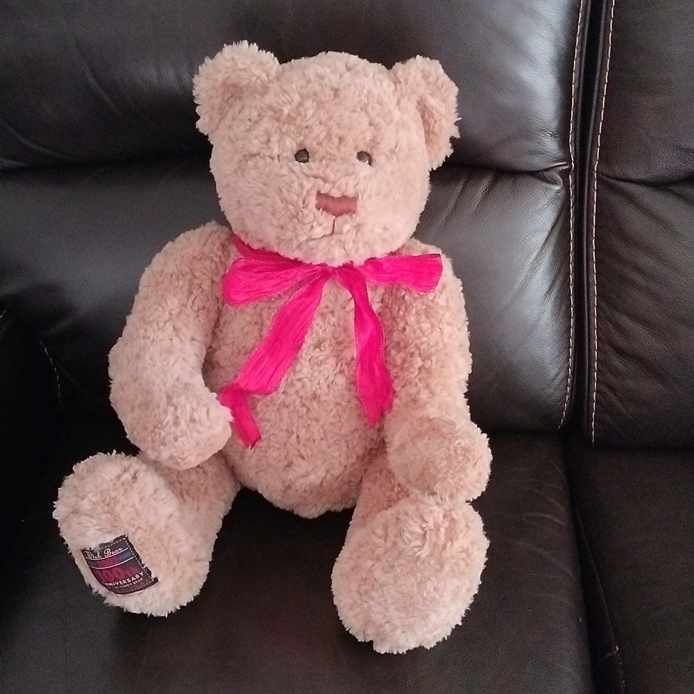 Gund 26" Wish Bear 100th Anniversary of The Teddy Bear 1902-2002. Limited Ed.